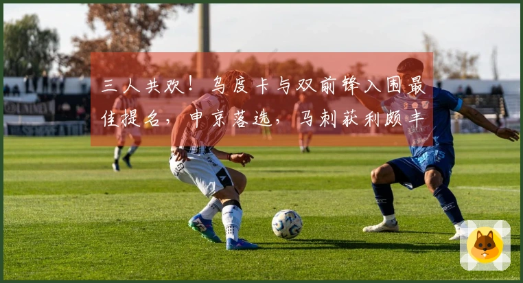 三人共欢！乌度卡与双前锋入围最佳提名，申京落选，马刺获利颇丰