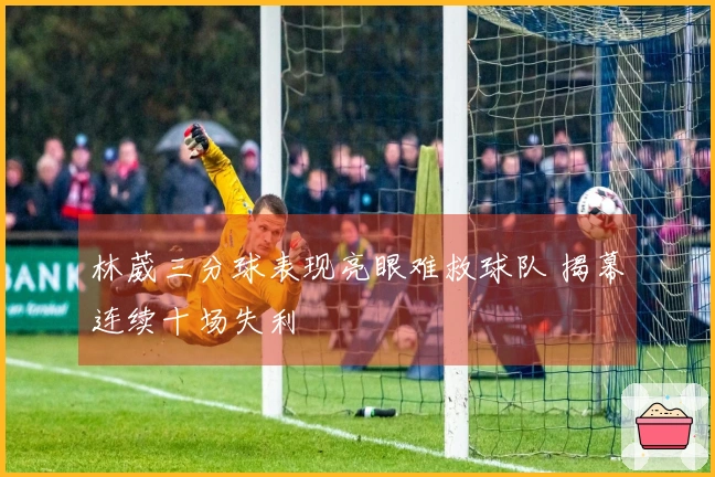 林葳三分球表现亮眼难救球队 揭幕连续十场失利