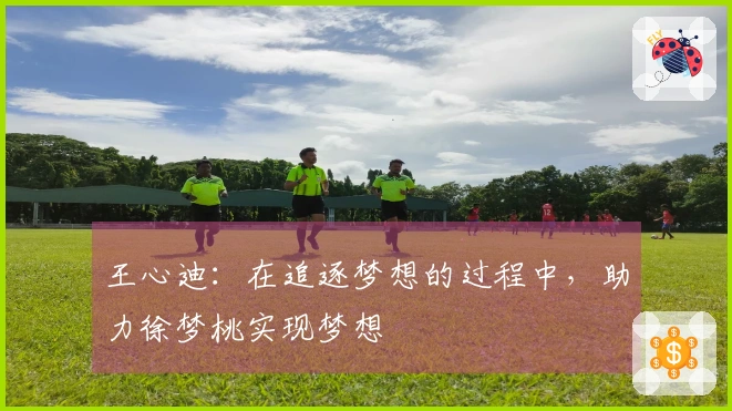 王心迪：在追逐梦想的过程中，助力徐梦桃实现梦想